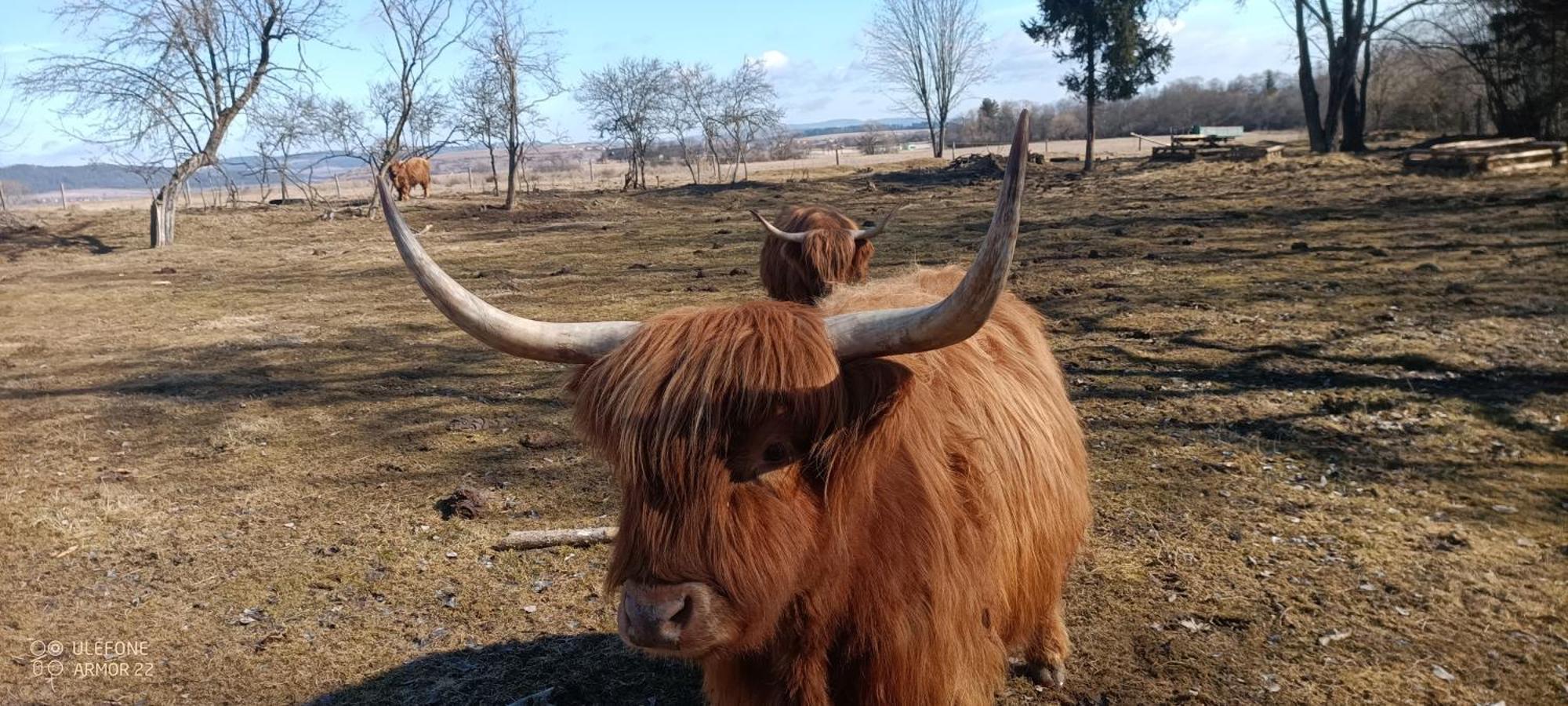Podlesok 697 Βίλα Hrabušice Εξωτερικό φωτογραφία