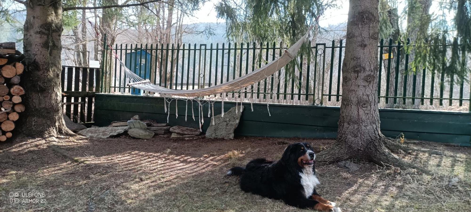 Podlesok 697 Βίλα Hrabušice Εξωτερικό φωτογραφία